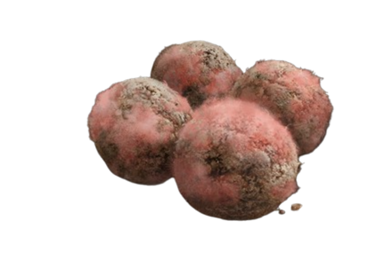 Preserving Boluses Icon