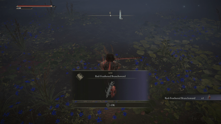 Elden Ring - Red-Feathered Branchsword Location