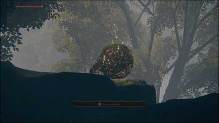 Elden Ring - Crimson Teardrop Scarab