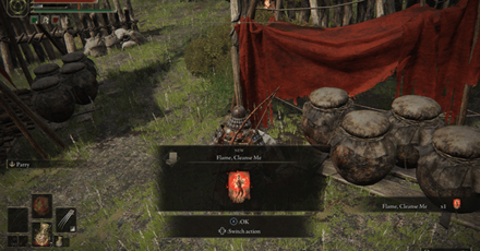 Elden Ring - Flame, Cleanse me Location