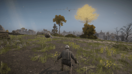 Elden Ring - Determination Ash of War World View