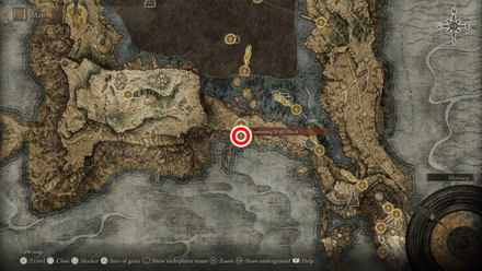 Elden Ring - Slumbering Wolf