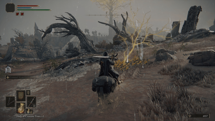 Elden Ring - Golden Seed 10 - Outside Bestial Sanctum Overworld Location