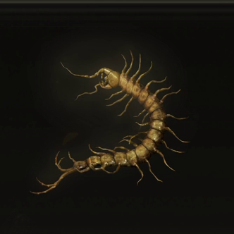 Golden Centipede Icon