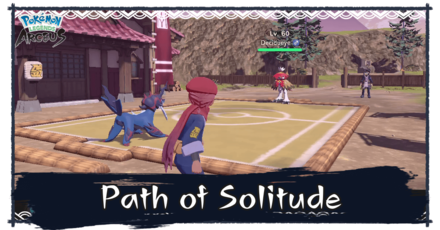 PLA Path of Solitude