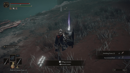 Elden Ring - Rune Arc Aeonia Swamp Caelid Region