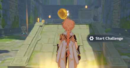 Genshin - How to Finish with 80 Adventure Coins