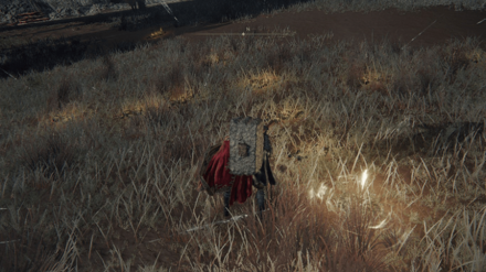 Summoning Signs Elden Ring.png