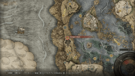 Elden Ring - Revenger