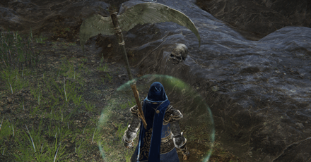 Elden Ring - Watchout for Skulls