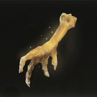 Gold-Pickled Fowl Foot Icon