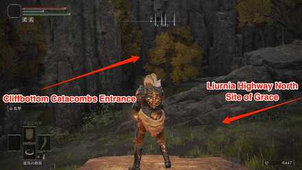 Cliffbottom Catacombs Entrance.jpg