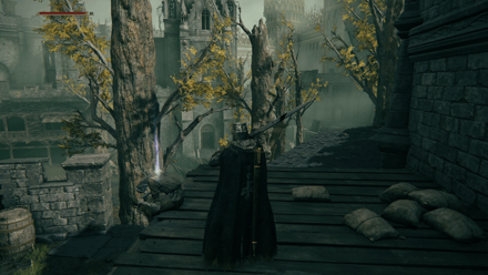 Elden Ring - Nomadic Warrior