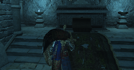 Obtain Raya Lucaria Soldier Ashes