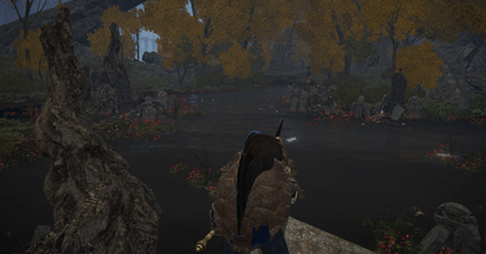 Elden Ring - Obtained by Defeating Tibia Mariner Overworld