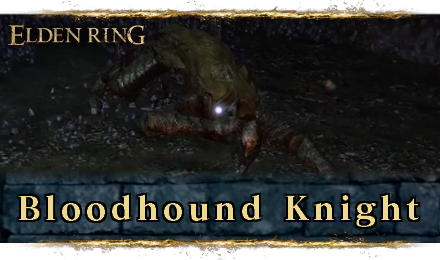 Elden Ring - Bloodhound Knight