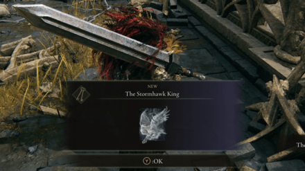 The Stormhawk King Ashes