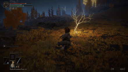 Elden Ring - Golden Seed 16 - North of Altus Highway Junction Overworld Location