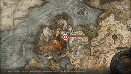 Elden Ring - Kindred of Rot