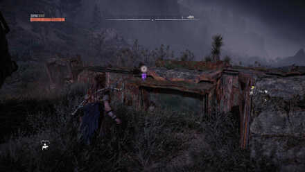 Statement From Holoskinz Inc. Datapoint Horizon Forbidden West