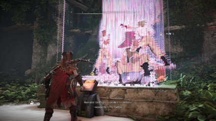 Military Life Datapoint Horizon Forbidden West