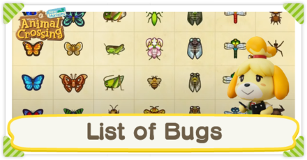 Animal Crossing: New Horizons (ACNH) - Bug Guide: List of Bugs (Insects)