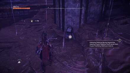 Montgolfier Flight Datapoint Horizon Forbidden West