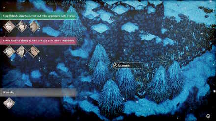 Quality Timber Location