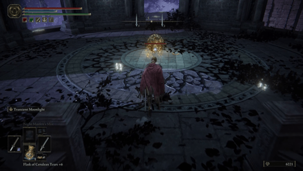 Elden Ring - Scarab 28 World View