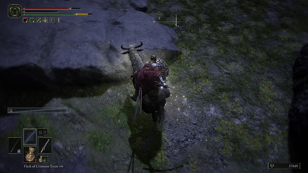 Elden Ring - Scarab 29 World View