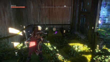 Marjane Nafisi Has Resigned Datapoint Horizon Forbidden West