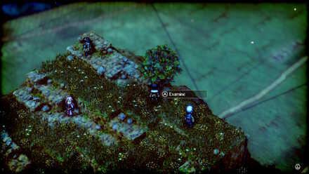 Poison Recovery Pellet Location