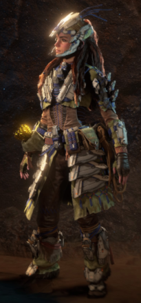 Horizon Forbidden West Nora Thunder Warrior Outfit