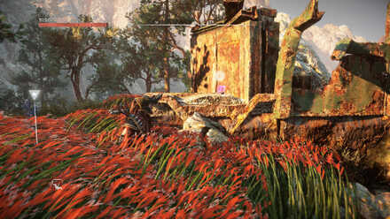 Lost Treasures of the Indian Ocean Datapoint Horizon Forbidden West