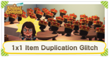 1x1 Item Duplication Glitch