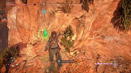 Horizon Forbidden West - Greenshine Location