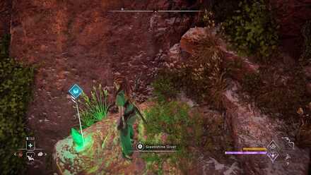 Horizon Forbidden West - Greenshine Location