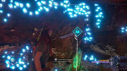 Horizon Forbidden West - Greenshine Location