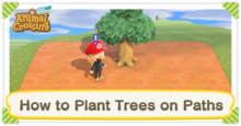 How to Plant Trees on Paths