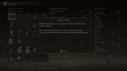 Elden Ring Pause During Boss Fight.gif