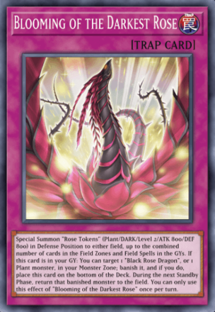 Blooming of the Darkest Rose