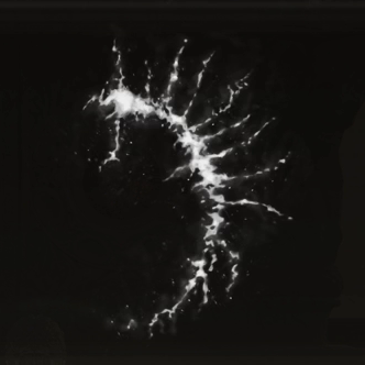 Cursemark of Death Icon