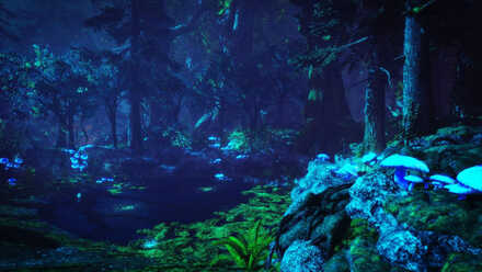 The Wicked Arbor.jpg