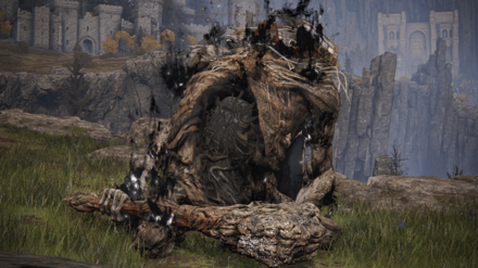 Elden Ring - Obtained From Iji Overworld