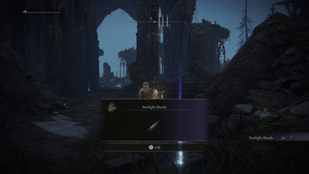 Elden Ring - Starlight Shard Cathedral of Manus Celes