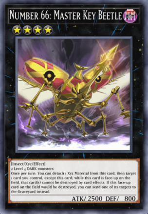 Number 66: Master Key Beetle