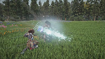 Horizon Forbidden West Melee Combat