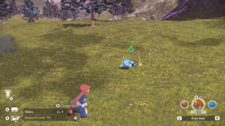 Pokemon Legends Arceus - Sleeping Shinx