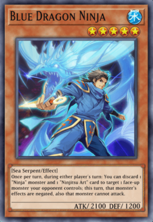 Blue Dragon Ninja