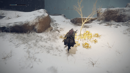 Elden Ring - Golden Seed 20 - South of Freezing Lake Overworld Location